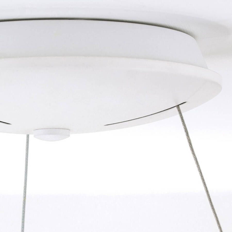 Orion LED hanglamp Venus in ringvorm