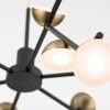 Orion LED plafondlamp Blossom, 24 lamps online kopen