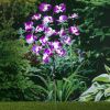 Huismerk Premium Orchidee LED Verlichting Op Zonne energie 75 Cm online kopen