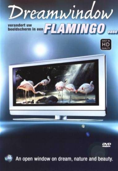 Dream window flamingo's (DVD) online kopen